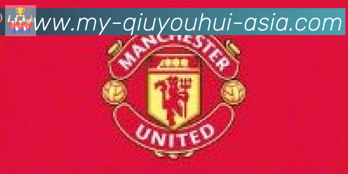 球友会体育合作伙伴